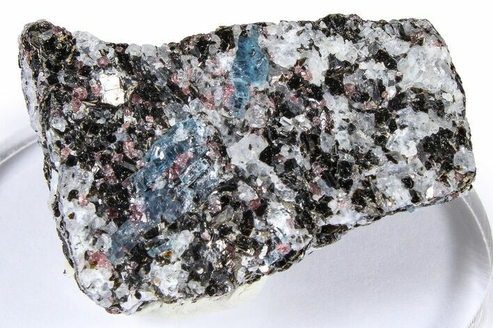 Fluorescent Kyanite & Garnet in Biotite-Quartz Schist - Russia #380660